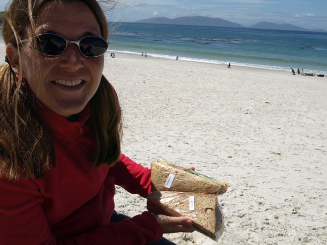 ../../Pictures/241209/098 Lunch auf Carcass Island.JPG